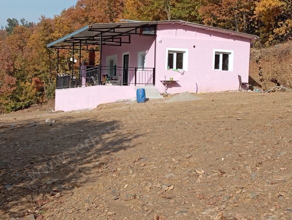 Dağyeniköy Mah. Turgutlu Satılık Bağ |  1200M2 3.150.000Tl Resim-4