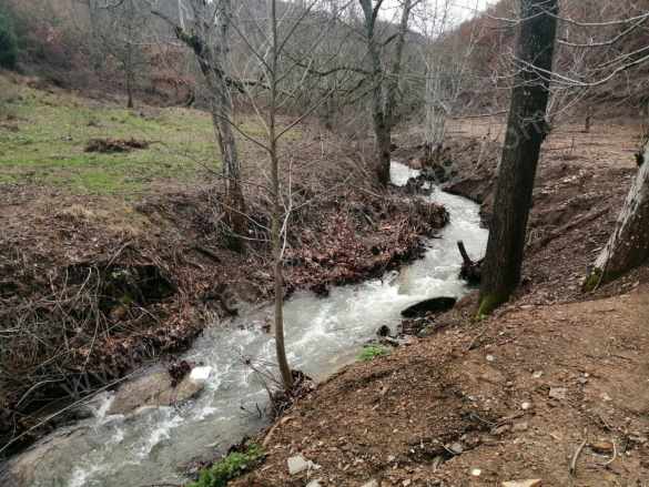 Turgutlu Satılık Bağ Dağyeniköy 1 175M2 Bahçe Yer Düz Ve Dere Kenarı içinde 13 Ağaç Ceviz Var Mah