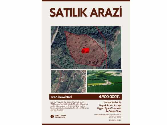 Turgutlu Satılık Tarla Dalbahçe Köyünde 7342M2 Zeytinlik Mah