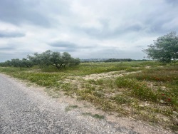 Turgutlu Urganlı Mah. Satılık Tarla 1850 M2