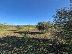 Kemalpaşa Yukarıkızılca Merkez Mah. Satılık Tarla 400 M2