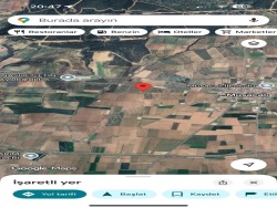 Turgutlu Musacalı Mah. Satılık Bağ 4950 M2