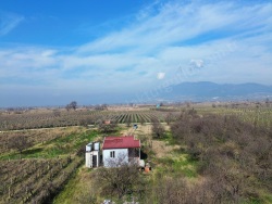 Turgutlu Albayrak Mah. Satılık Bağ 6700 M2