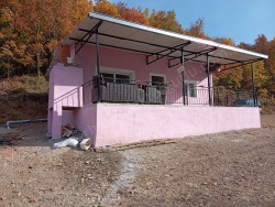 Turgutlu Dağyeniköy Mah. Satılık Bağ 1200 M2