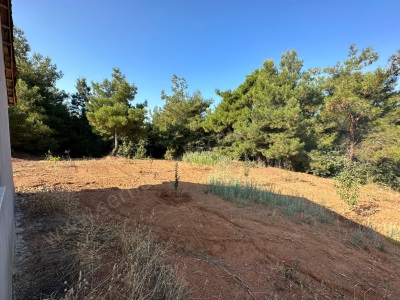 Turgutlu Satılık Bağ Güney Köyünde 2548M2 Hobi Bahçesi Mah