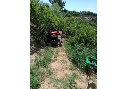 Turgutlu Satılık Bağ Osmancıkta 10 Dönüm Meyve Bahçesi Osmancık Mah