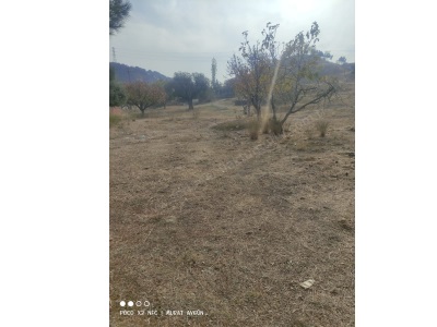 Turutlu Satılık Arsa Avşar Mah 3 Kat İmarlı 248M2 Elektrik Su Alınabilir Kaya Magnesia Otelin Arkası Turgutlu