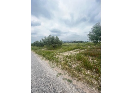 Turgutlu Satılık Tarla Asfalt Üzeri 1 850M2 Urganlı Kaplıcalarına Yakın Hobi Bahçesi Tapusu Ayrı Mah