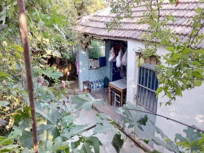 Turgutlu Satılık Bağ 8 Mıntıka Davutlu Mevkii 6 5 Dönüm Erik Bahçesi 2 Tapudan Oluşmakta İstiklal Mah