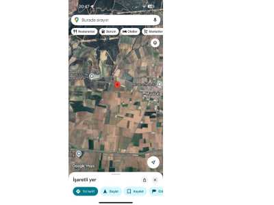 Turgutlu Satılık Bağ Musulcalı Köyünde 4950M2 Yetişkin Tek Tapu Musacalı Mah