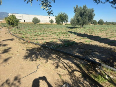 Turgutlu Satılık Arsa 9 Mıntıka 11 385M2 Sanayi İmarlı Yola Sıfır Mustafa Kemal Mah