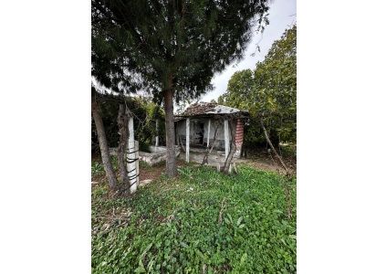 Turgutlu Satılık Arazi 9 Mıntıkada 14 Dönüm 2 Tapudan Oluşmaktadır Mustafa Kemal Mah