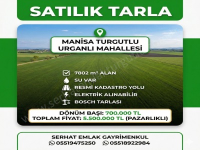 Turgutlu Satılık Tarla Urganlı Mah 7 802M2 Resmi Yolu Var Su