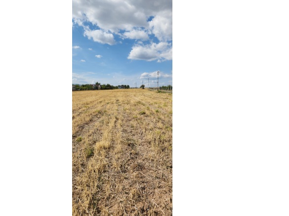 İçören Mah. Kahramankazan Satılık Tarla |  10400M2 9.200.000Tl Resim-3