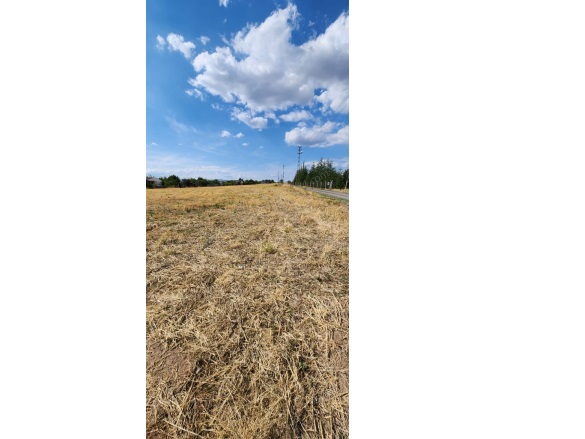 İçören Mah. Kahramankazan Satılık Tarla |  10400M2 9.200.000Tl Resim-4