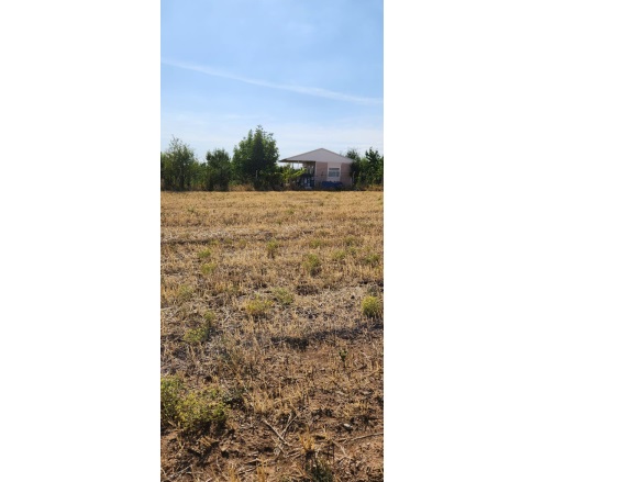 İçören Mah. Kahramankazan Satılık Tarla |  10400M2 9.200.000Tl Resim-5