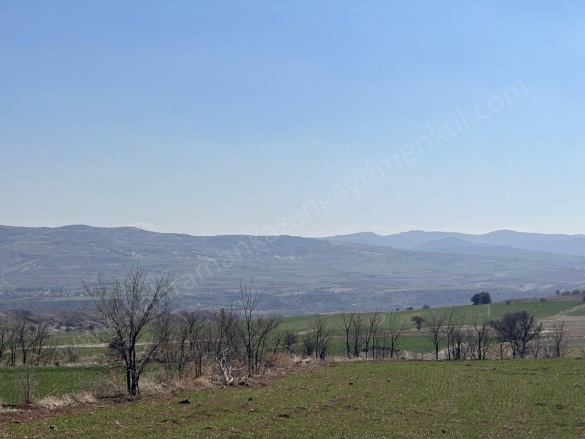 Aşağıkaraören Mah. Kahramankazan Satılık Tarla |  1481M2 800.000Tl Resim-2