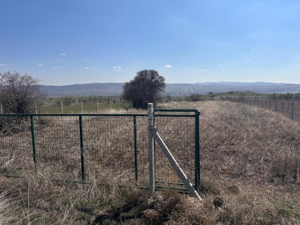 Aşağıkaraören Mah. Kahramankazan Satılık Tarla |  1481M2 800.000Tl Resim-5