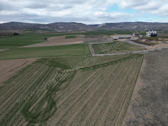 İymir Mah. Kahramankazan Satılık Tarla |  15485M2 15.485.000Tl Resim-5