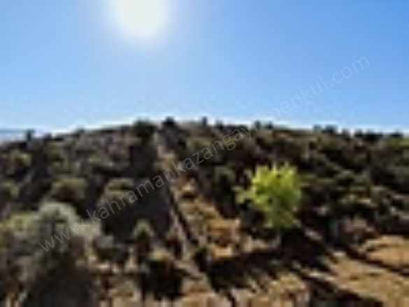 K Kazan Gyodan Ahi Mah Etrafı Telli 360M2 Satılık Arsa Tarla Kahramankazan