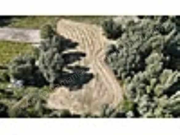 K Kazan Gyodan iymir Mah 977M2 Bahçelik Satılık Arsa Parsel Kahramankazan