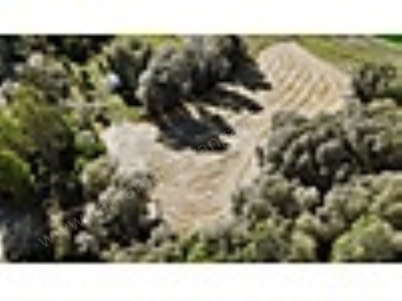 İymir Mah. Kahramankazan Satılık Arsa |  977M2 1.080.000Tl Resim-5