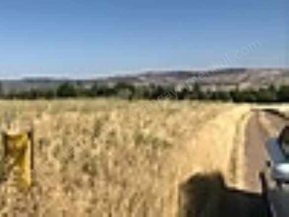 K Kazan Gyodan içören Mah 2451M2 Alt Yapısı Mevcut Kupon Yer! Satılık Arsa Kahramankazan