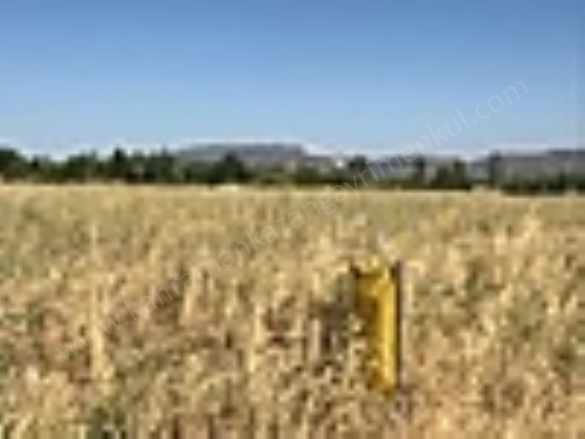 K Kazan Gyodan içören Mah 2451M2 Alt Yapısı Mevcut Kupon Yer! Satılık Arsa Kahramankazan