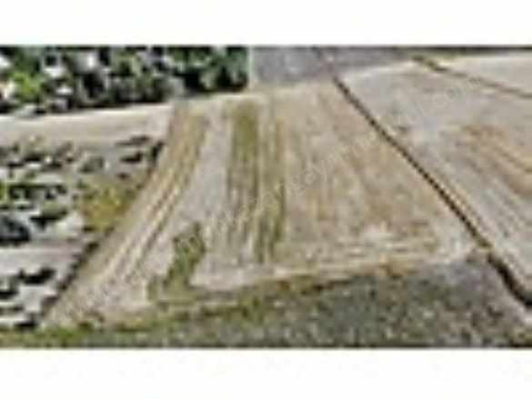 K Kazan Gyodan iğmir Mah 5376M2 Süper Konum Satılık Arsa Tarla Kahramankazan iymir