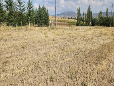 K Kazan Gyodan 10 400 M2 Elk Su Doğalgaz Yol Mevcut Kupon Satılık Tarla Kahramankazan İçören Mah