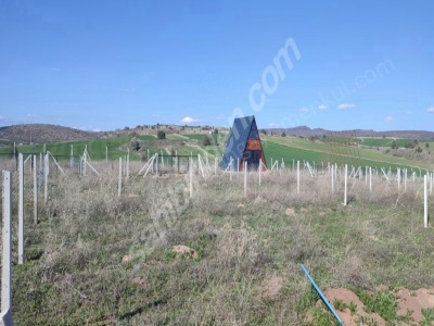 K Kazan Gyodan Ciğir Mah 240M2 Elektrik Su Olan Hobi Bahçesi Satılık Bağ Kahramankazan