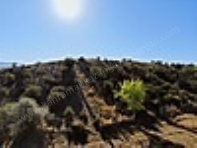 K Kazan Gyodan Ahi Mah Etrafı Telli 360M2 Satılık Arsa Tarla Kahramankazan