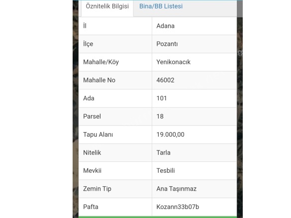 Yenikonacık Mah. Pozantı Satılık Tarla |  19000M2 15.250.000Tl Resim-2