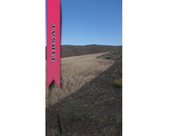Kolsuz Köyü Ulukışla Satılık Tarla |  32000M2 5.000.000Tl Resim-1