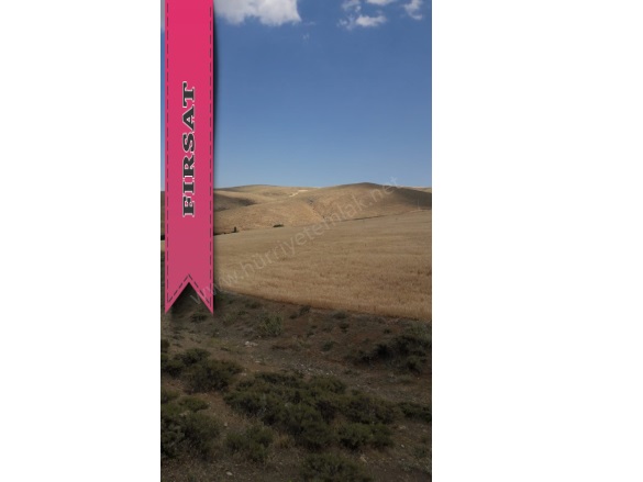 Kolsuz Köyü Ulukışla Satılık Tarla |  32000M2 5.000.000Tl Resim-3