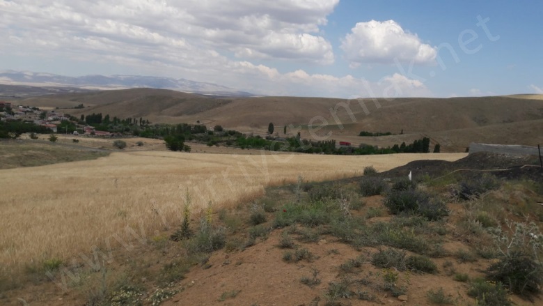 Kolsuz Köyü Ulukışla Satılık Tarla |  32000M2 5.000.000Tl Resim-4