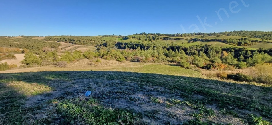 Maltepe Mah. Sarıçam Satılık Tarla |  45000M2 11.250.000Tl Resim-2