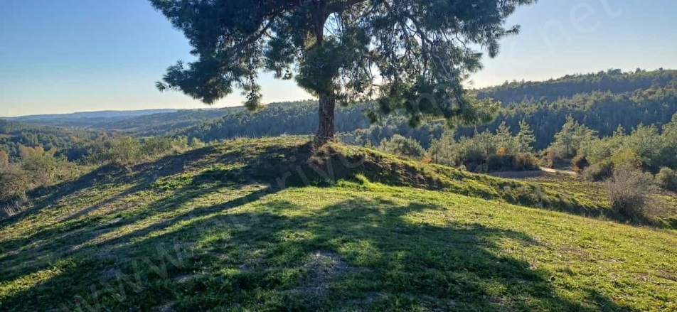 Maltepe Mah. Sarıçam Satılık Tarla |  45000M2 11.250.000Tl Resim-3