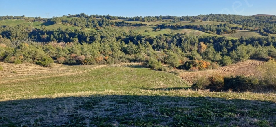 Maltepe Mah. Sarıçam Satılık Tarla |  45000M2 11.250.000Tl Resim-4