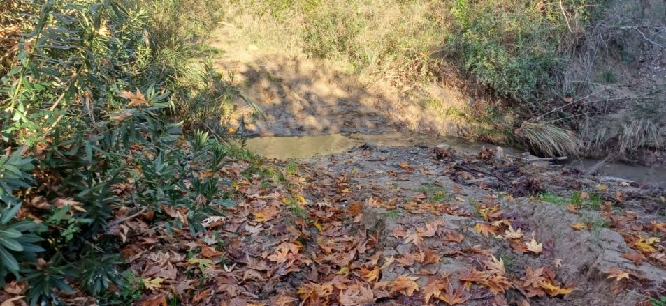 Maltepe Mah. Sarıçam Satılık Tarla |  45000M2 11.250.000Tl Resim-5