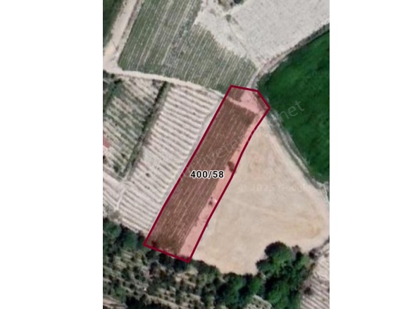 Tepe Mah-Kemerhisar Köyü. Bor Satılık Tarla |  3580M2 2.550.000Tl Resim-1