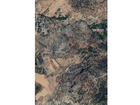 Hamidiye Mah. Pozantı Satılık Bağ |  1477M2 1.700.000Tl Resim-3