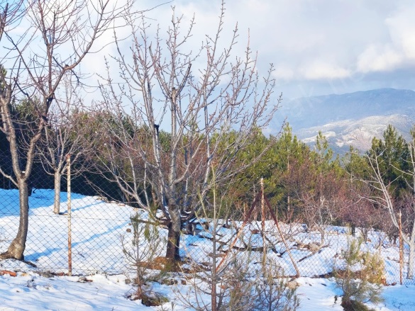 Yenikonacık Mah. Pozantı Satılık Parsel | 1.750.000Tl Resim-3