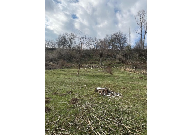 Postallı Köyü Bor Satılık Bağ |  1560M2 625.000Tl Resim-2