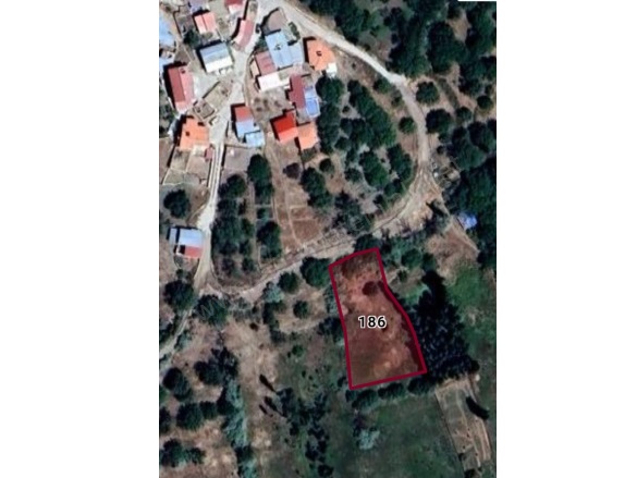 Postallı Köyü Bor Satılık Bağ |  1560M2 625.000Tl Resim-4