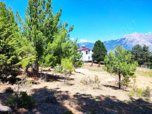 Pozantı Yenikonacıkta Körmenlik Mevkiinde 493 M2 Satılık Parsel Arsa Yenikonacık Mah
