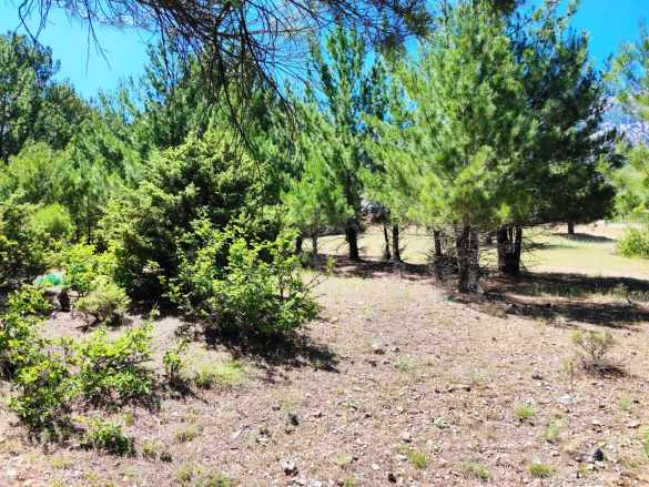 Pozantı Yenikonacıkta Körmenlik Mevkiinde 493 M2 Satılık Parsel Arsa Yenikonacık Mah
