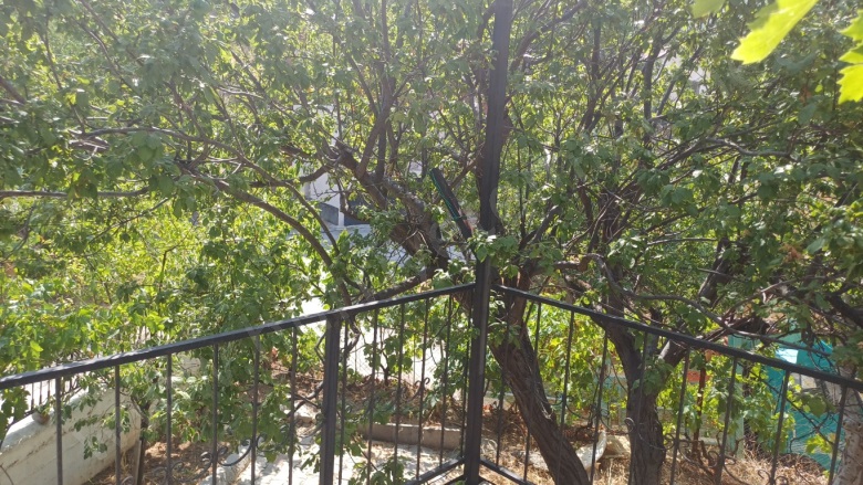 Ömerli Mah. Pozantı Satılık Yazlık |  190M2 2.000.000Tl Resim-5