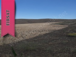 Ulukışla Kolsuz Köyü Satılık Tarla 32000 M2