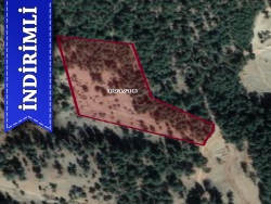 Pozantı Yenikonacık Mah. Satılık Tarla 19000 M2